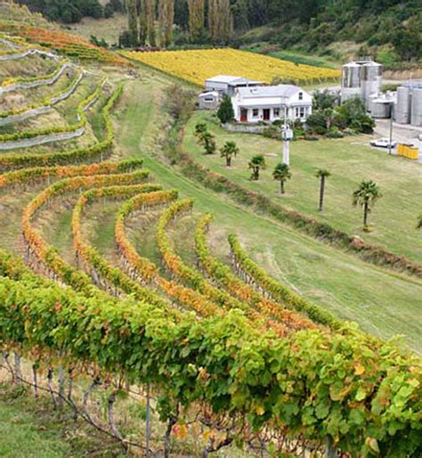Esk Valley A Piece Of New Zealand History Fine Wine Delivery