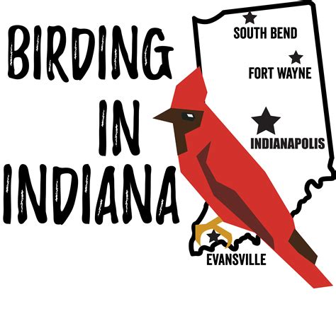 Birds In Indiana Bird Watching Academy