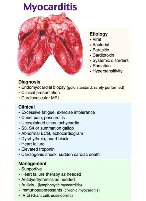 Nursing Diagnosis For Myocarditis Nclex Quiz