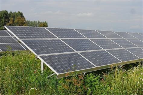 Organic Solar Cells That Collect Energy Like Plants True Activist