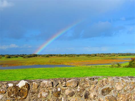 Maes Food Blog Best Irish Rainbow Of The Day