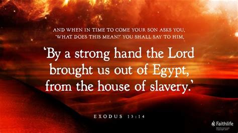 Exodus 131116 Niv “after The Lord Brings You Biblia