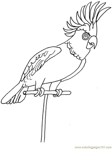 6 free unicorn coloring pages; Tropical Birds Coloring Pages - Coloring Home