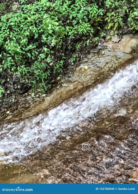 Small Stream Through Forest In Indiana State Park Stock Photo Image