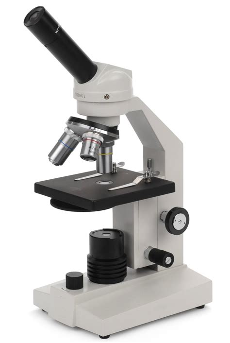 Microscope World Blog Human Cheek Cells Microscope Science Project