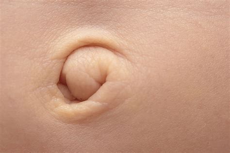 Weird Facts About Your Belly Button You Probably Didnt Know World