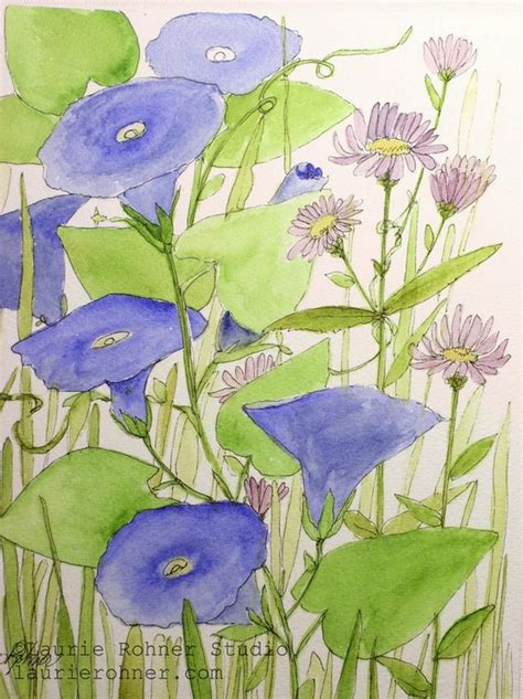 Botanical Watercolor Morning Glory And Aster Garden Wildflowers