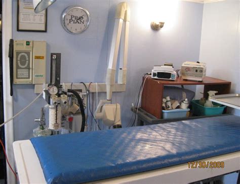 Kingsley animal hospital is your local veterinarian in orange park serving all of your needs. A Look at the Clinic | Bennett Road Animal Clinic, Inc.