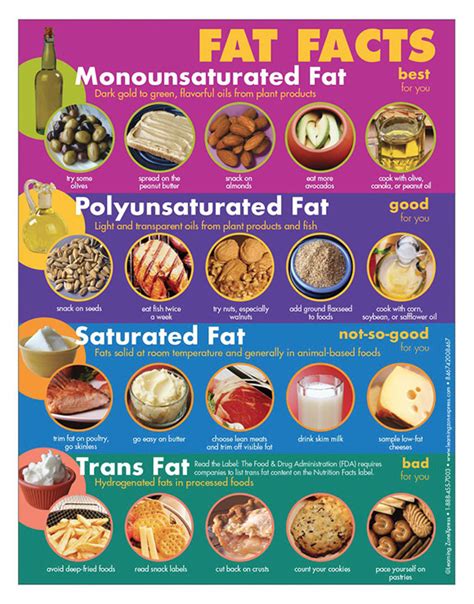 Nutrition Obesity And Diabetes Prevention Fat Facts Handouts