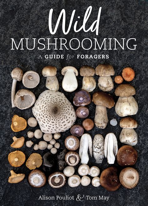 Mushroom Foraging With Alison Pouliot And Tom May Friends Of The Box
