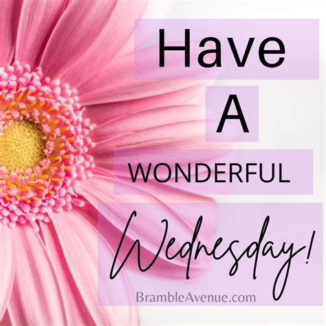 Wonderful Wednesday Images And Quotes Bramble Avenue