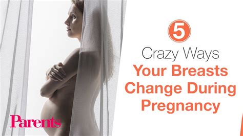 Crazy Ways Your Breasts Change During Pregnancy Parents Youtube