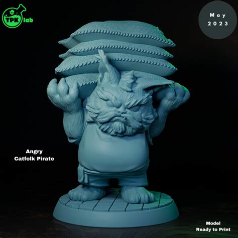 3d Printable Angry Catfolk Pirate By Tpk Lab