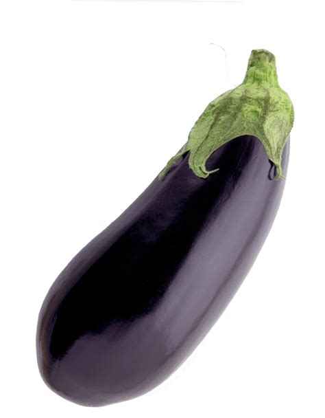Eggplant Vegetable Eggplant Png Download 769988 Free Transparent