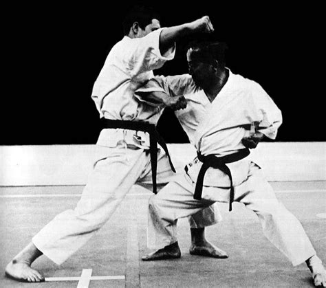 Kumite Jodan Oi Tsuki Yoko Empi Uchi Katas De Karate Karate Marcial