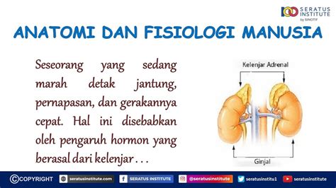 Biologi Contoh Soal Anatomi Dan Fisiologi Manusia Youtube