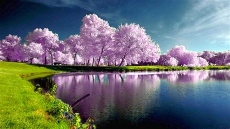 10 Most Popular Wallpapers Hd Nature Spring Full Hd 1080p For Pc