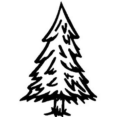 Download High Quality Pine Tree Clip Art Outline Transparent Png Images