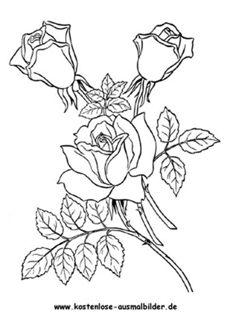 Stillleben mit rosen, erdbeeren und brot (1827. Rosen - Blumen ausmalen | Malvorlagen Rosen