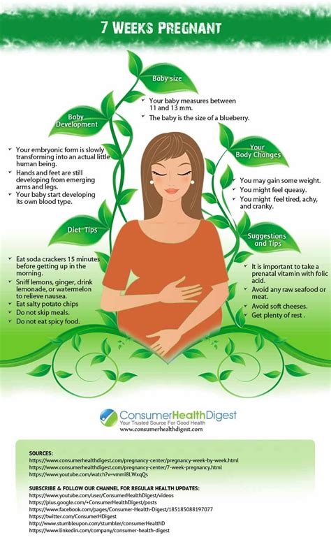 You know i didn't have a single cup of coffee since morning. 7 Weeks Pregnant: How Maternal Body Changes During these Weeks
