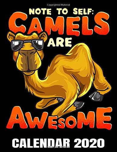 Camels Are Awesome Calendar 2020 Funny Camel Calendar Appointment