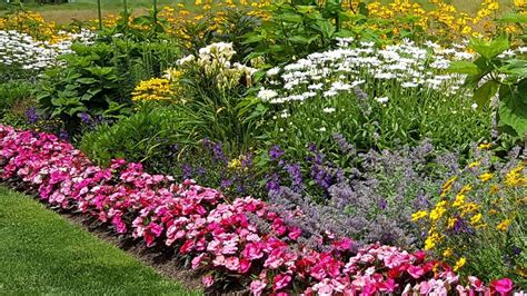 Blossoms on cape cod located at 790 route 6a, dennis, ma, 02638 (click here to see us on a map) also provides local delivery to the following cities: Amazing flower border, Cape Cod | Amazing flowers, Cape ...