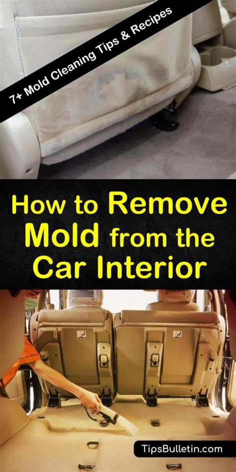 Select outside air rather than recirculate: 7+ Ways to Remove Mold from the Car Interior