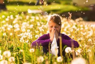 Causes of Seasonal Allergies | Dr. Kanarek