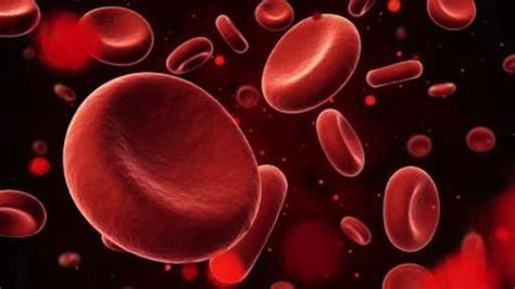 Anemia Hemol Tica Autoinmune Qu Es Causas Tratamiento Y M S
