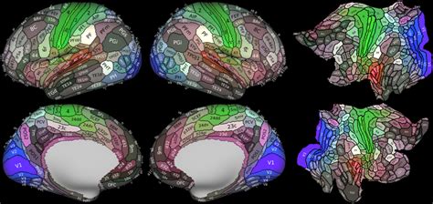 A Multi Modal Parcellation Of Human Cerebral Cortex