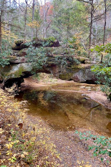 Rock Bridge Trail Red River Gorge Ky Champagne Tastes