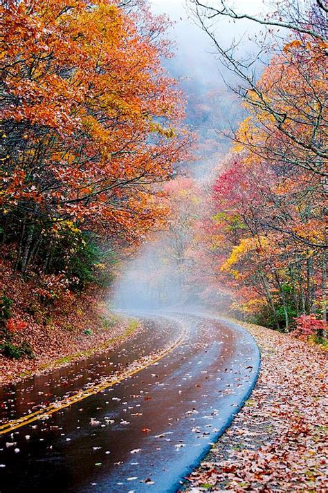 October Fall Foliage Drives State By State All Nature Beautiful