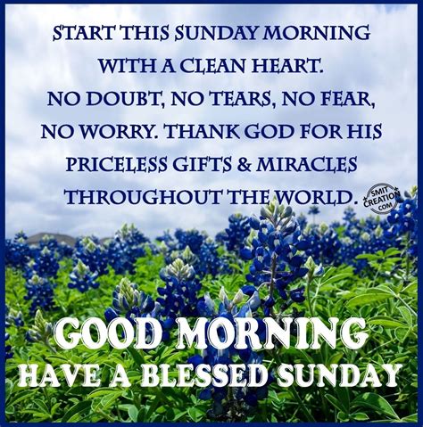 Good Morning Have A Blessed Sunday Good Morning Happy Sunday Sunday