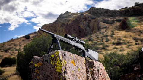 Meet The New Model 2020 Rimfire Rifles From Springfield Armory