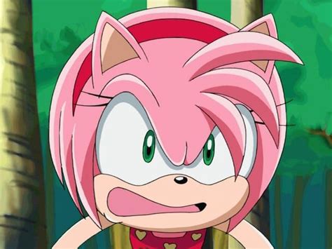 Image 350917 Sonic X Amy Rose Amy The Hedgehog Rose Pictures