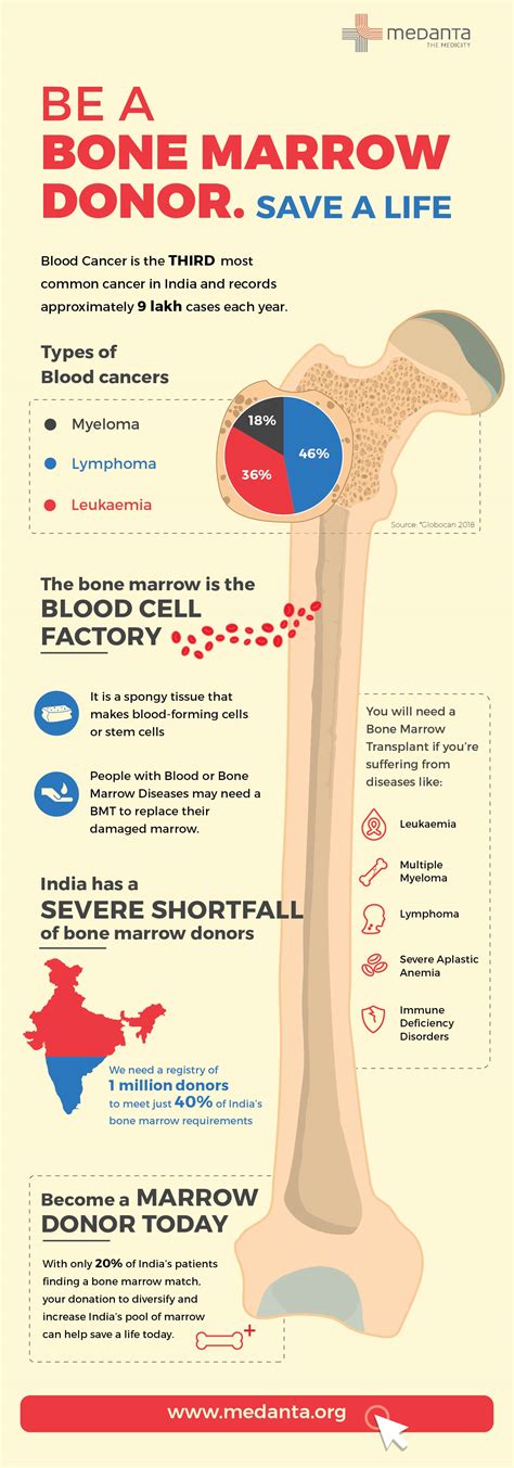 Medanta Bone Marrow Donation What You Need To Know