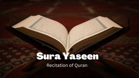 Tilawat Sura Yaseen💝 سورۃ یٰس Quran Recitation ️ Islamiclead