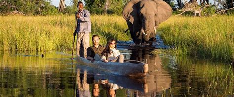 Botswana Safari Tours And Luxury Trips Botswana Safari Lodges