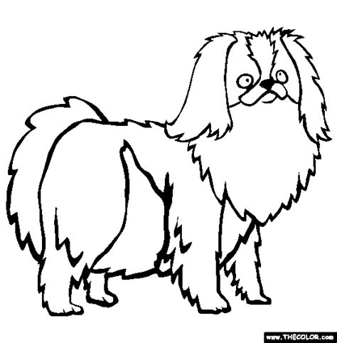 Japanese Chin Coloring Page Free Japanese Chin Online Coloring