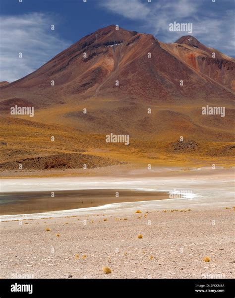 Atacama Desert Plateau Chile South America Stock Photo Alamy