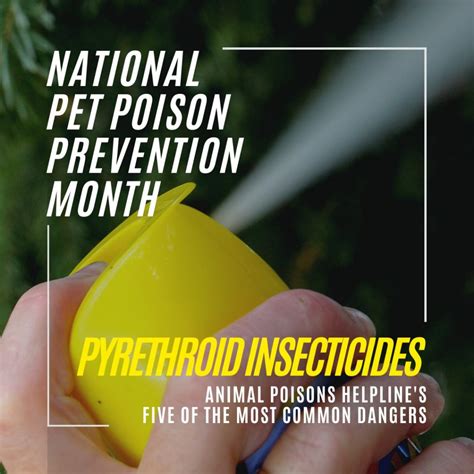 Pyrethroid Insecticides Animal Poisons Helpline