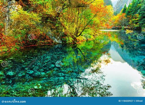 The Five Flower Lake Colorful Autumn Woods Reflected In Water Stock