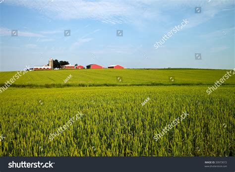 Landscape Typical Midwestern American Farm On Stock Photo 33973072