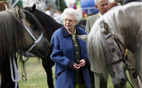 Queen Elizabeth Has Made More Than 9 Million On Horse Races Observer