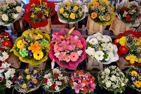 Visit the Sydney Flower Market in Flemington