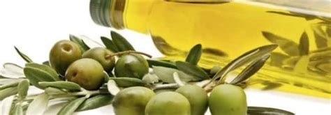 Khasiat minyak zaitun telah banyak dibuktikan melalui kajian santifik. 7-manfaat-dan-khasiat-minyak-zaitun-untuk-kesehatan ...