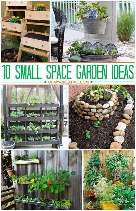 10 Small Space Garden Ideas Gardening Ohmy