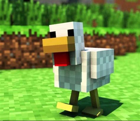Pato Gallina Song By Itowngameplay Wiki Minecraft Amino • Crafters