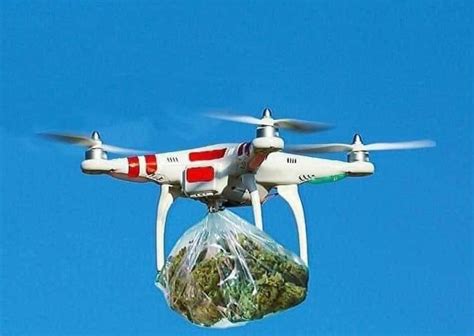 The Original O'l Farts Club. | Page 1102 | International Cannagraphic