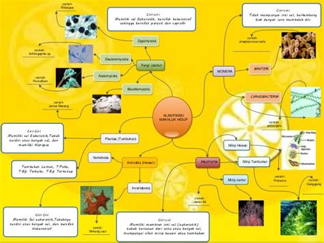 Mind Mapping Biologi Plantae
